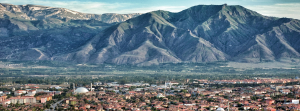 erzincan-bilet
