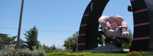 isparta-bilet
