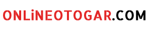 logo1