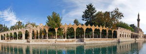 sanliurfa-bilet